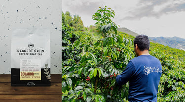 From Seed to Cup: Ecuador Hacienda La Papaya - Dessert Oasis Coffee Roasters