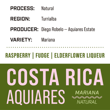 Costa Rica Aquiares Estate — Mariana | Natural