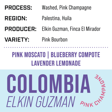Colombia Elkin Guzman — Washed | Pink Champagne