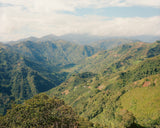 Colombia Agua De Dios — Washed | Sugarcane Decaf - Dessert Oasis Coffee Roasters