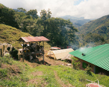 Colombia Agua De Dios — Washed | Sugarcane Decaf - Dessert Oasis Coffee Roasters