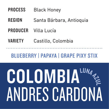 Colombia Andrés Cardona — Luna Azul | Black Honey - Dessert Oasis Coffee Roasters