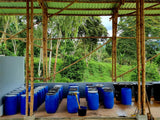 Colombia Elkin Guzman — Washed | Pink Champagne - Dessert Oasis Coffee Roasters