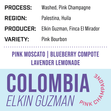 Colombia Elkin Guzman — Washed | Pink Champagne - Dessert Oasis Coffee Roasters