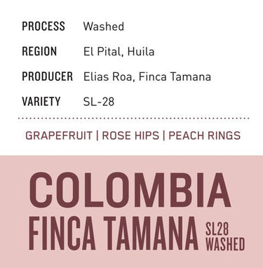 Colombia Finca Tamana SL28 | Washed - Dessert Oasis Coffee Roasters