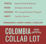 Colombia Young Producers | Experimental Collab Lot - Dessert Oasis Coffee Roasters