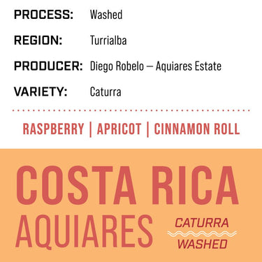 Costa Rica Aquiares Estate — Caturra Washed | House - Dessert Oasis Coffee Roasters