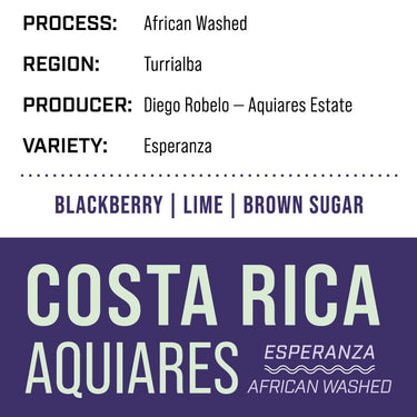 Costa Rica Aquiares Estate — Esperanza | African Washed - Dessert Oasis Coffee Roasters