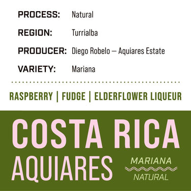 Costa Rica Aquiares Estate — Mariana | Natural - Dessert Oasis Coffee Roasters