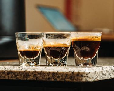 Espresso Masterclass — Full Day - Dessert Oasis Coffee Roasters
