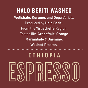 Ethiopia Halo Beriti — Washed | Espresso - Dessert Oasis Coffee Roasters