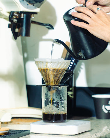 HARIO V60 DRIPPER - Dessert Oasis Coffee Roasters