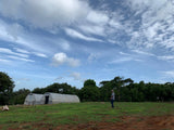 Honduras Jocsan Otoniel — Natural | Solar Dryer - Dessert Oasis Coffee Roasters