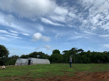 Honduras Jocsan Otoniel — Natural | Solar Dryer - Dessert Oasis Coffee Roasters