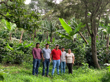 Honduras Jocsan Otoniel — Natural | Solar Dryer - Dessert Oasis Coffee Roasters