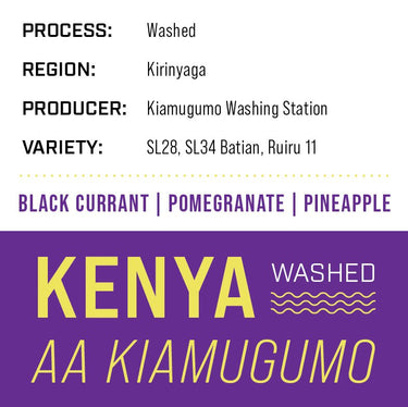 Kenya AA Kiamugumo | Washed - Dessert Oasis Coffee Roasters