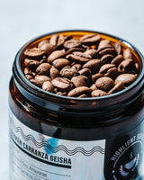 Peru Germán Carranza | Geisha Natural - Dessert Oasis Coffee Roasters