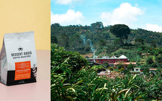 From Seed to Cup: Costa Rica Aquiares Caturra
