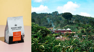 From Seed to Cup: Costa Rica Aquiares Caturra