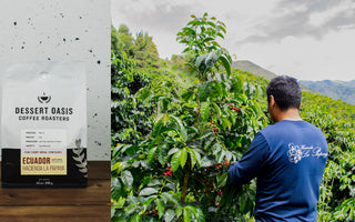 From Seed to Cup: Ecuador Hacienda La Papaya