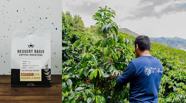 From Seed to Cup: Ecuador Hacienda La Papaya