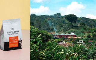 From Seed to Cup: Costa Rica Aquiares Caturra - Dessert Oasis Coffee Roasters