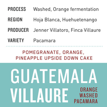 Guatemala Villaure Orange Washed Pacamara