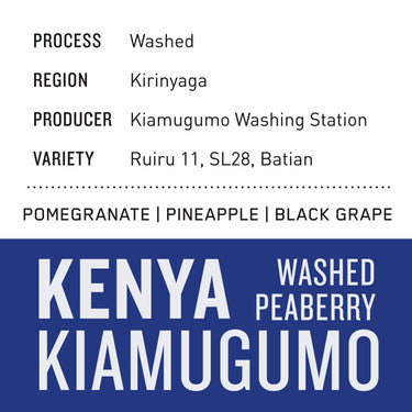 Kenya PB Kiamugumo | Washed