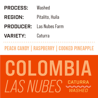 Colombia Las Nubes | Caturra Washed