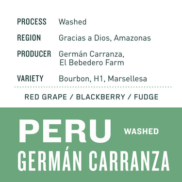 Peru Germán Carranza  - Washed