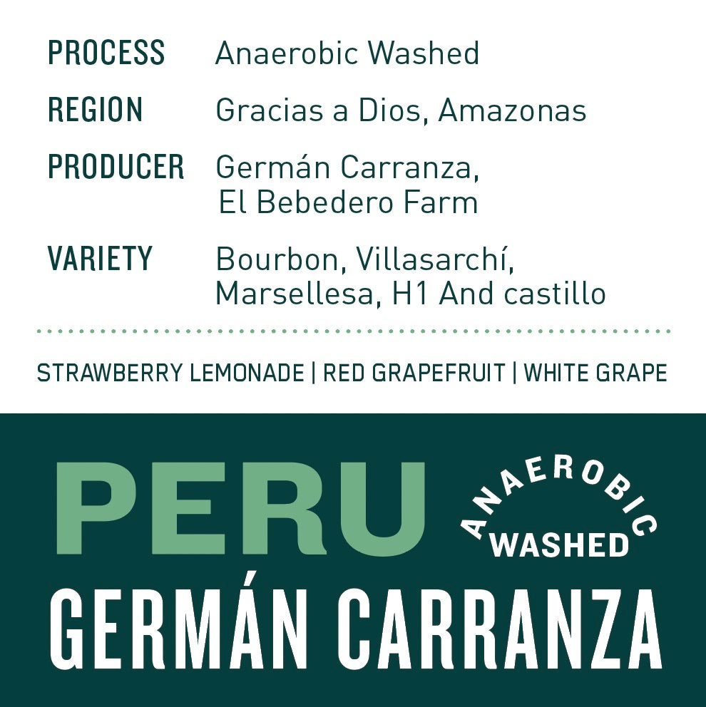 Peru Germán Carranza | Anaerobic Washed