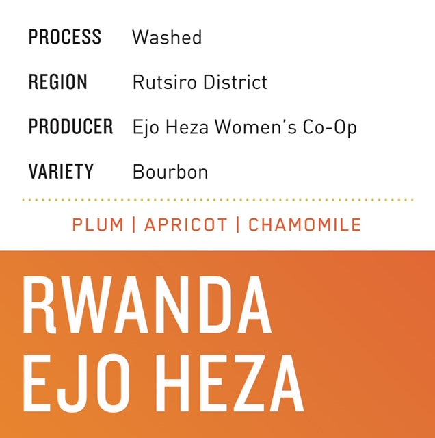 Rwanda Ejo Heza (2024) | Washed · Plum, Apricot & Chamomile