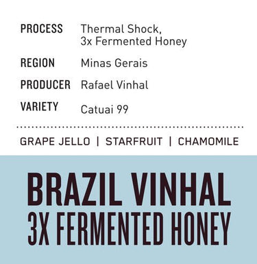 Brazil Vinhal | Triple Fermented Honey - Dessert Oasis Coffee Roasters