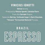 Brazil Vinicius Ignotti | "Volcano" Fermented Natural (Espresso) - Dessert Oasis Coffee Roasters