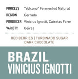 Brazil Vinicius Ignotti | "Volcano" Fermented Natural (House Coffee) - Dessert Oasis Coffee Roasters
