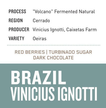 Brazil Vinicius Ignotti | "Volcano" Fermented Natural (House Coffee) - Dessert Oasis Coffee Roasters