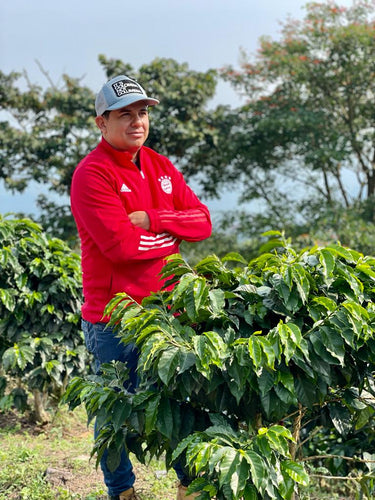 Colombia Elkin Guzman — Washed | Pink Champagne - Dessert Oasis Coffee Roasters