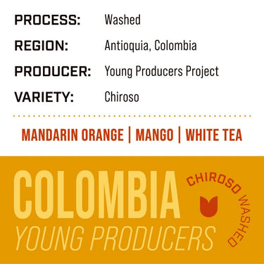 Colombia Young Producers | Chiroso Washed - Dessert Oasis Coffee Roasters
