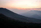 El Salvador Los Pirineos | Black Honey - Dessert Oasis Coffee Roasters