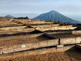 El Salvador Los Pirineos | Black Honey - Dessert Oasis Coffee Roasters