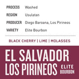 El Salvador Los Pirineos | Elite Bourbon - Dessert Oasis Coffee Roasters