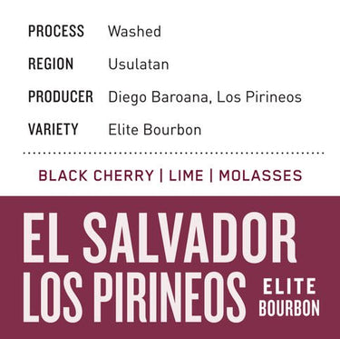 El Salvador Los Pirineos | Elite Bourbon - Dessert Oasis Coffee Roasters