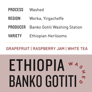 Ethiopia Banko Gotiti | Washed - Dessert Oasis Coffee Roasters