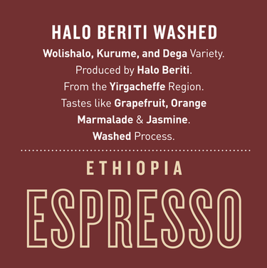 Ethiopia Halo Beriti — Washed | Espresso - Dessert Oasis Coffee Roasters