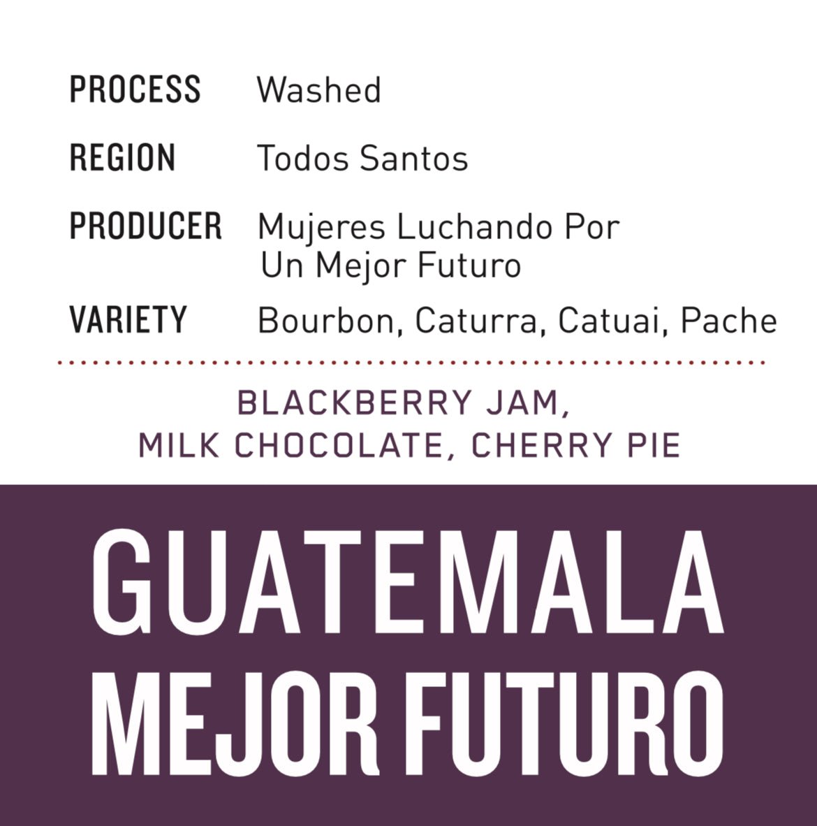 Guatemala Mejor Futuro | Washed - Dessert Oasis Coffee Roasters