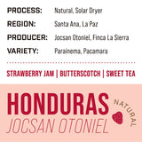 Honduras Jocsan Otoniel — Natural | Solar Dryer - Dessert Oasis Coffee Roasters