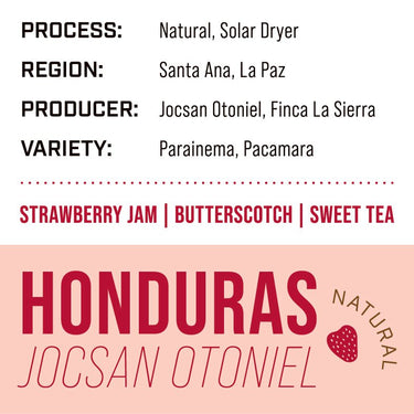 Honduras Jocsan Otoniel — Natural | Solar Dryer - Dessert Oasis Coffee Roasters