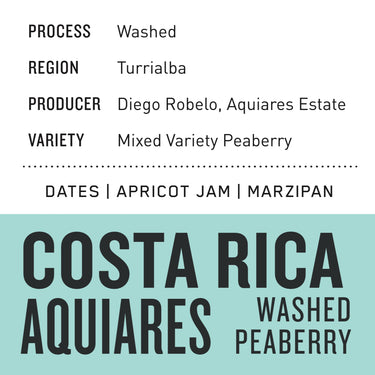 Costa Rica Aquiares | Washed Peaberry (House Coffee)