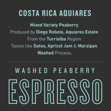 Costa Rica Aquiares | Washed Peaberry (Espresso)