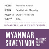 Myanmar Shwe Yi Mon | Anaerobic Natural SL28 - Dessert Oasis Coffee Roasters
